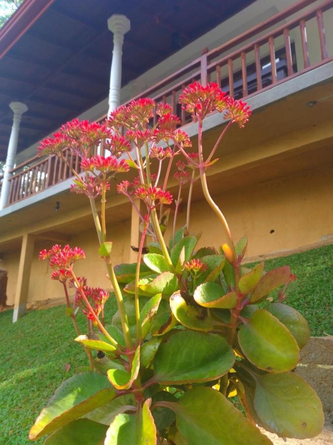 Ella Hillsite View Hotel Exterior photo